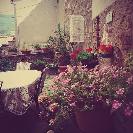 Dimora Toscana Διαμέρισμα Seggiano Εξωτερικό φωτογραφία