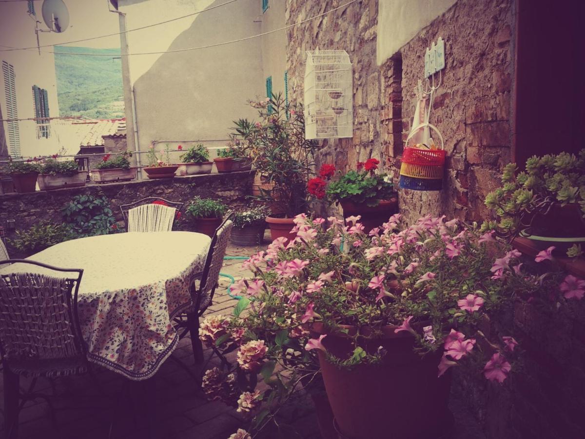 Dimora Toscana Διαμέρισμα Seggiano Εξωτερικό φωτογραφία