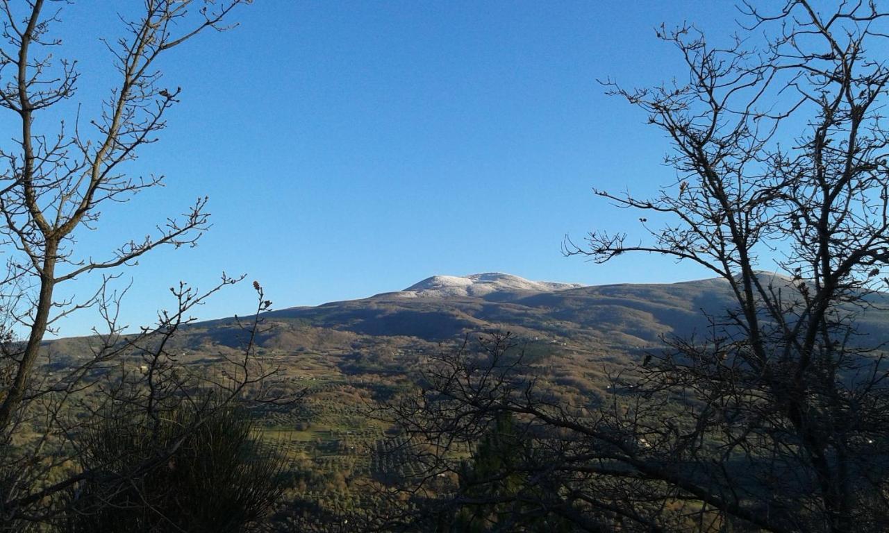 Dimora Toscana Διαμέρισμα Seggiano Εξωτερικό φωτογραφία